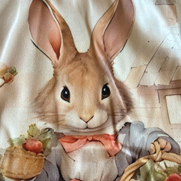 NEW Beatrix Potter Peter Rabbit inspired harvest throw pillow cover baby nursery - Picture 7 of 11